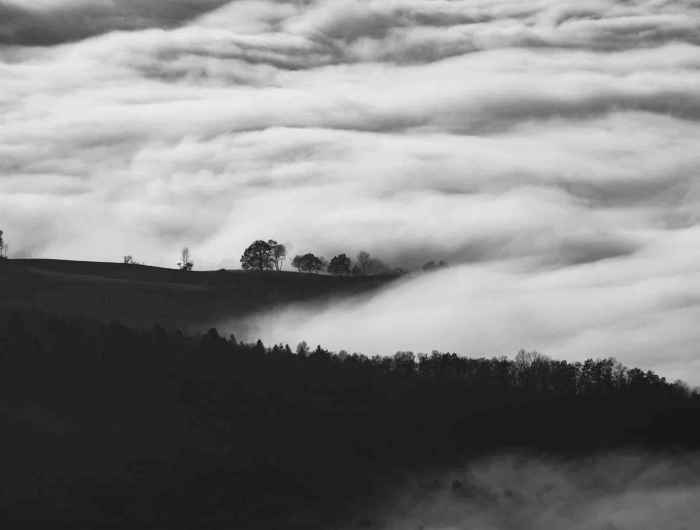 Autem tempora qui odit.