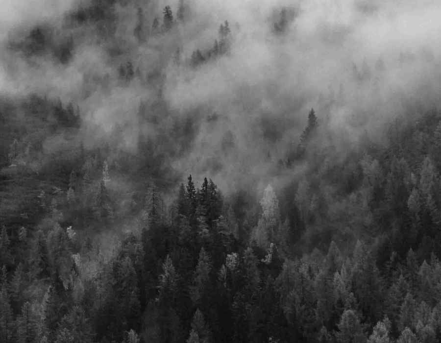 Magni dolores illo rem officiis.